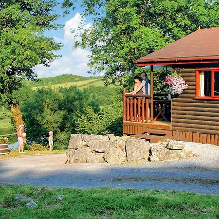 Garnffrwd Park Llanddarog Exterior foto