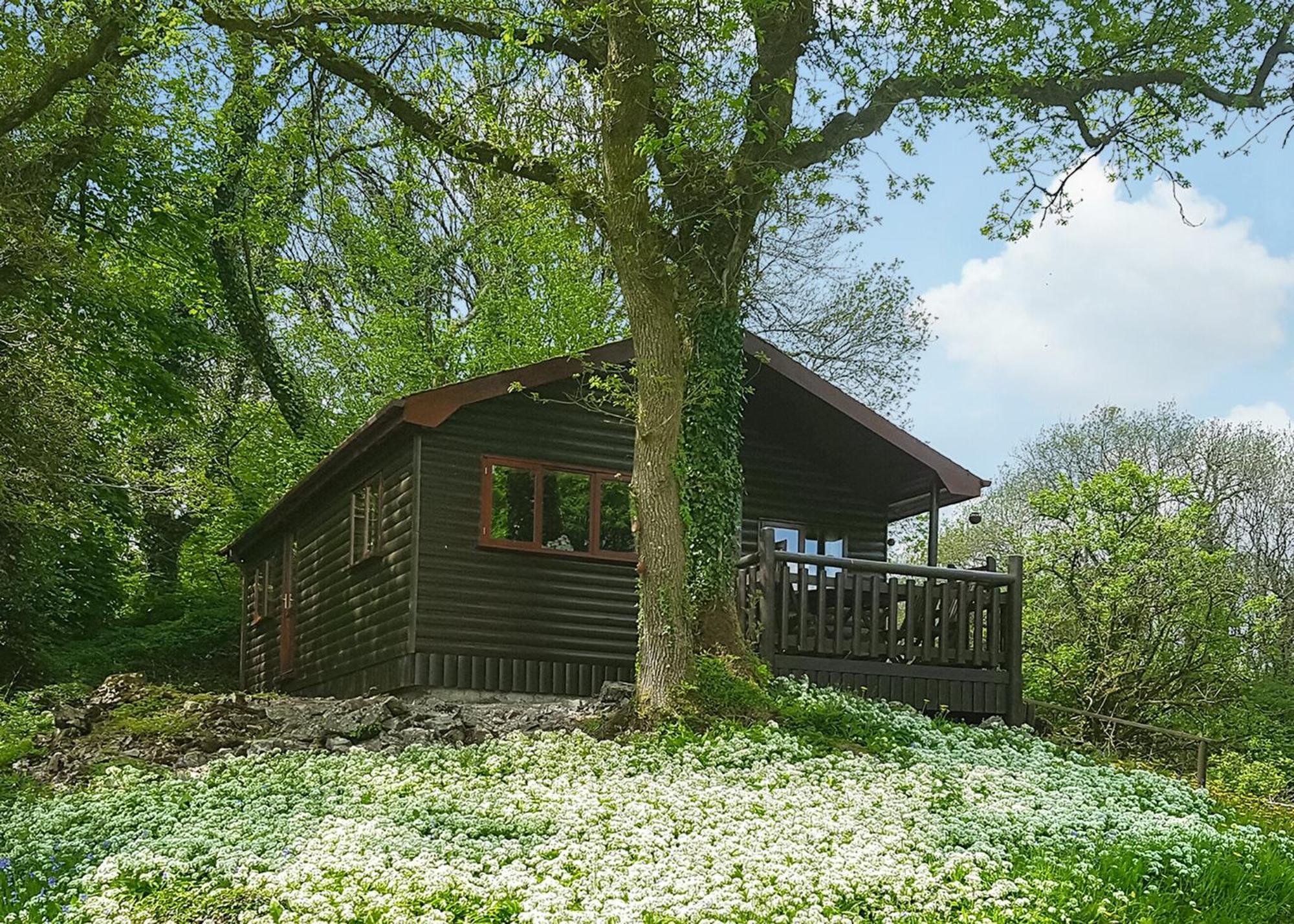 Garnffrwd Park Llanddarog Quarto foto