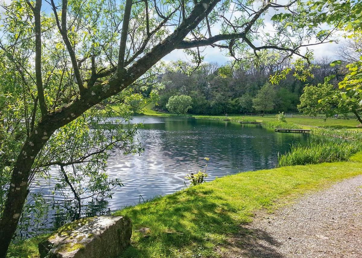 Garnffrwd Park Llanddarog Exterior foto
